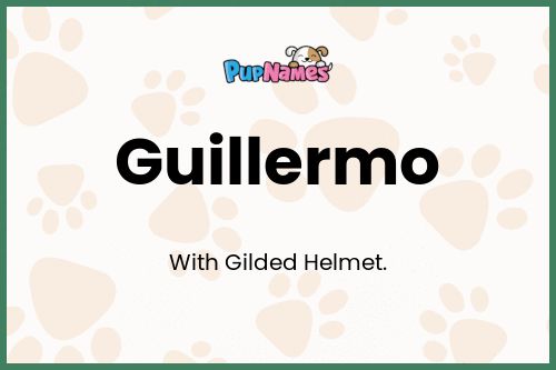 Guillermo dog name meaning