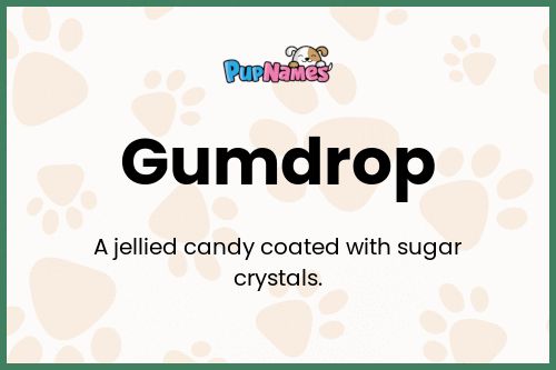 Gumdrop dog name meaning