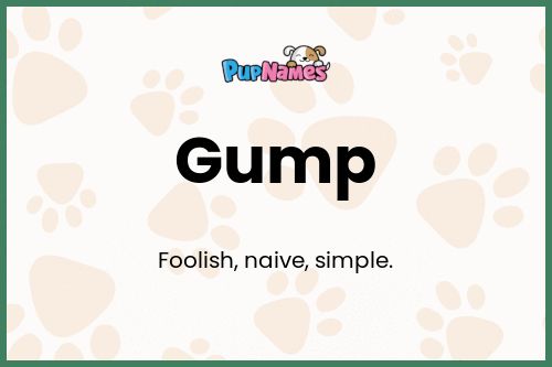 Gump dog name meaning