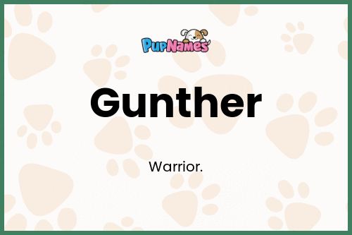 Gunther dog name meaning