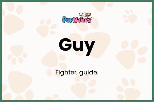 Guy dog name meaning