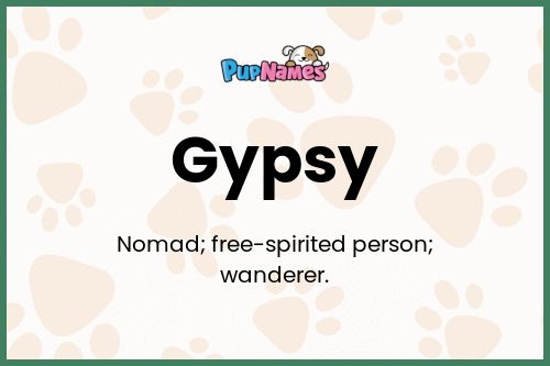 Gypsy dog name meaning