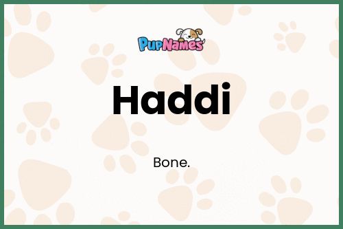 Haddi dog name meaning