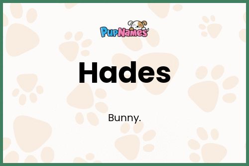 Hades dog name meaning