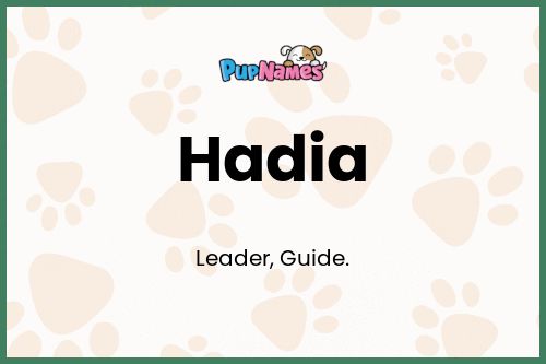 Hadia dog name meaning