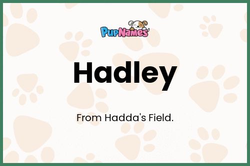 Hadley dog name meaning