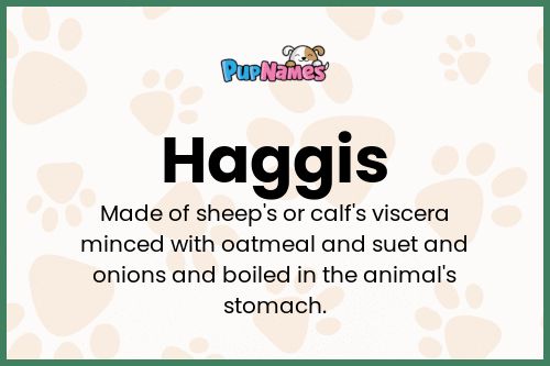 Haggis dog name meaning