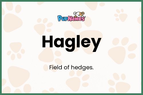 Hagley dog name meaning