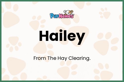 Hailey dog name meaning