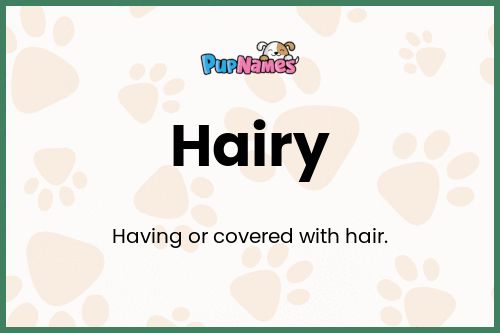 Hairy dog name meaning