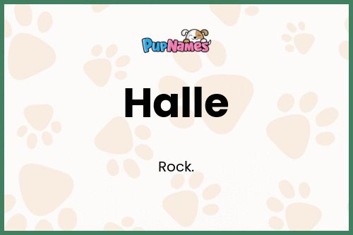 Halle dog name meaning