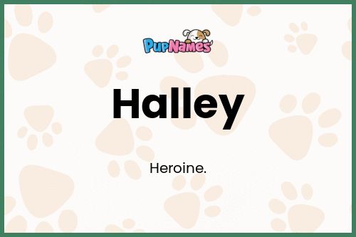 Halley dog name meaning