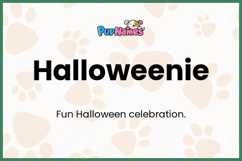 Halloweenie dog name meaning