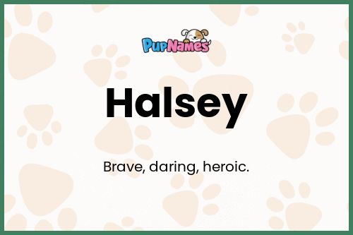 Halsey dog name meaning