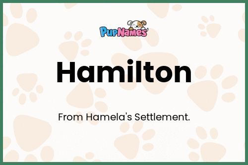 Hamilton dog name meaning