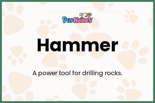 Hammer dog name meaning