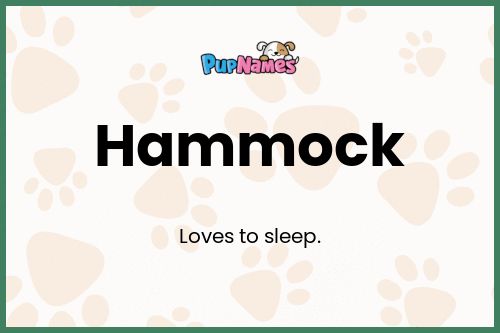 Hammock dog name meaning