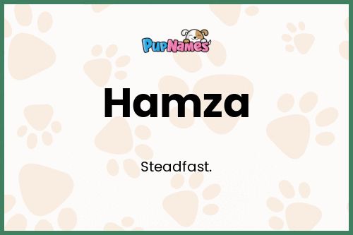 Hamza dog name meaning