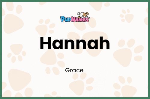 Hannah dog name meaning