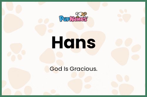 Hans dog name meaning