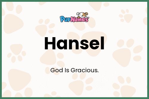 Hansel dog name meaning