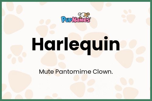 Harlequin dog name meaning