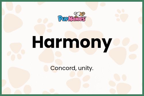 Harmony dog name meaning