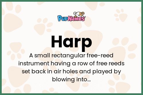 Harp dog name meaning