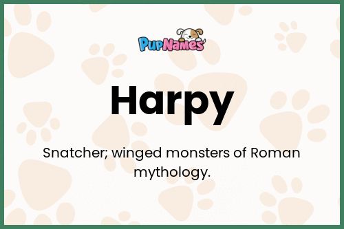 Harpy dog name meaning