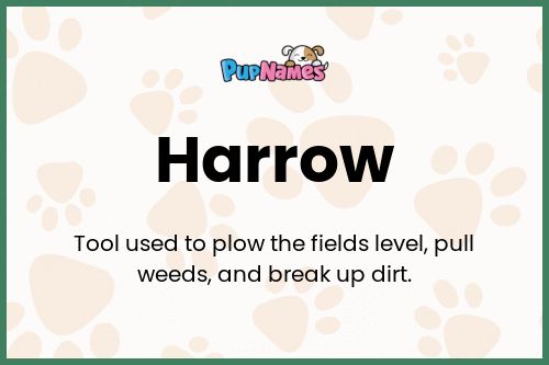 Harrow dog name meaning