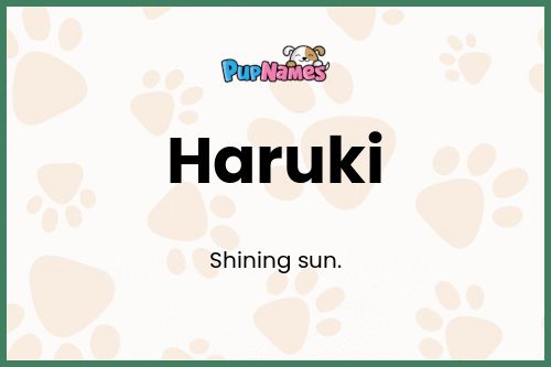 Haruki dog name meaning