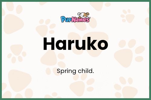 Haruko dog name meaning