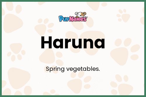 Haruna dog name meaning