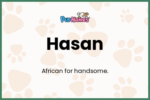 Hasan dog name meaning