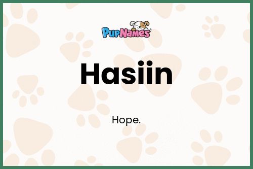 Hasiin dog name meaning