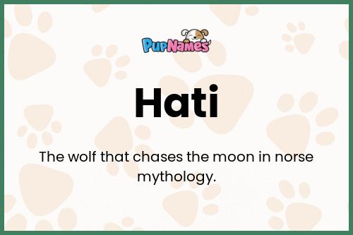 Hati dog name meaning