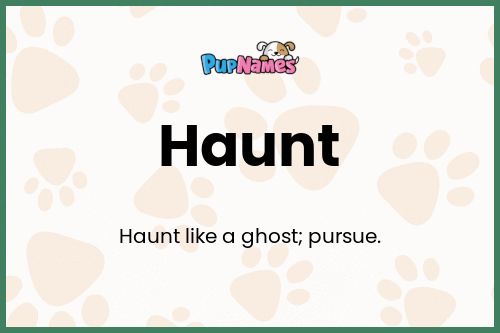 Haunt dog name meaning