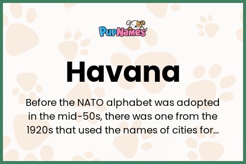 Havana dog name meaning