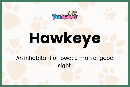 Hawkeye dog name meaning