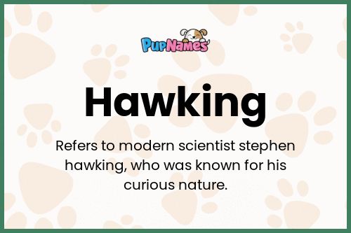 Hawking dog name meaning