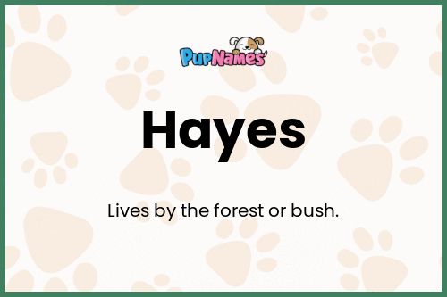 Hayes dog name meaning