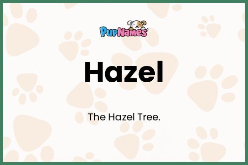 Hazel dog name meaning