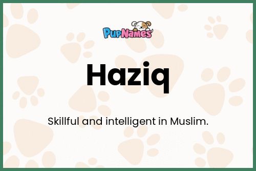Haziq dog name meaning