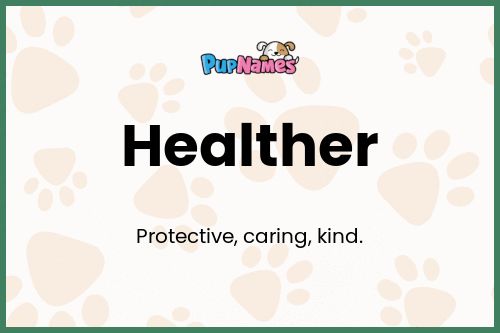 Healther dog name meaning