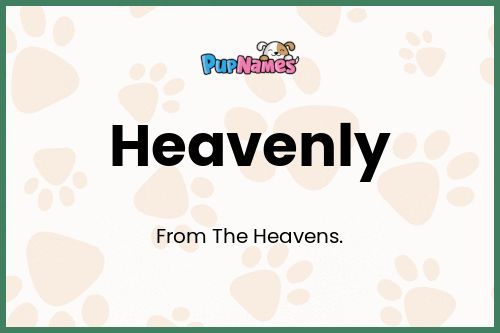 Heavenly dog name meaning