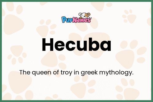 Hecuba dog name meaning