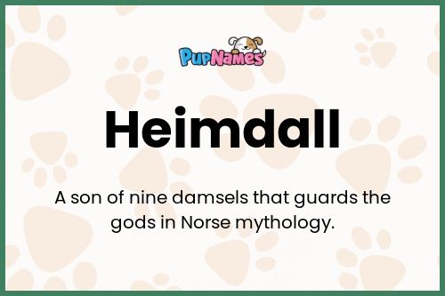 Heimdall dog name meaning
