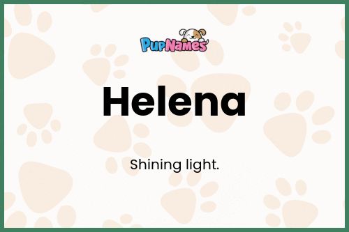 Helena dog name meaning