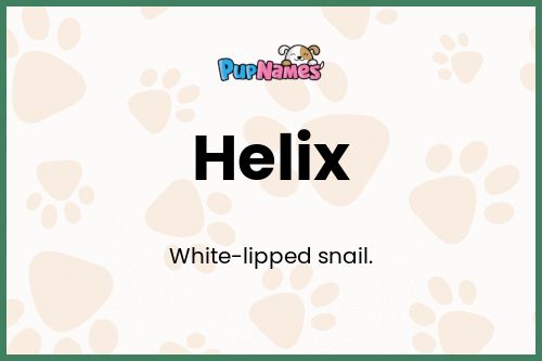 Helix dog name meaning