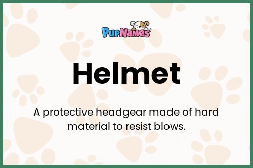 Helmet dog name meaning